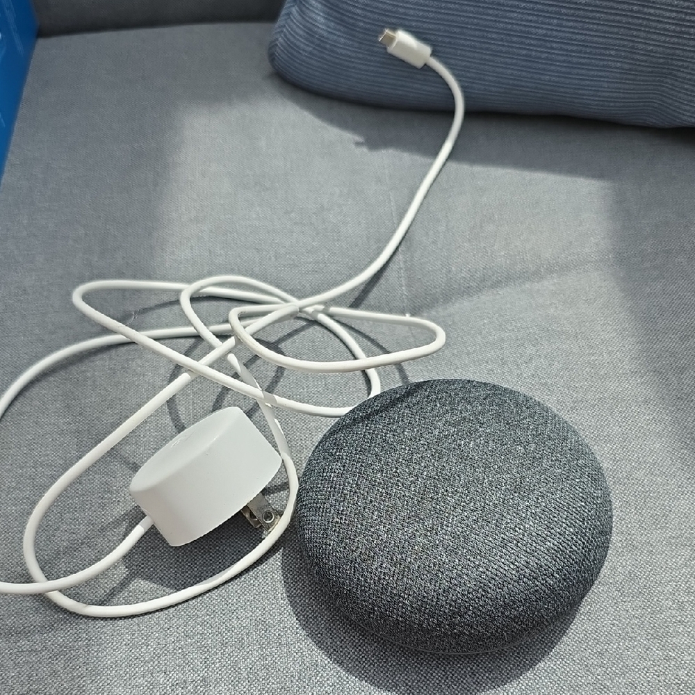 Google Nest Mini in Charcoal with White Cable